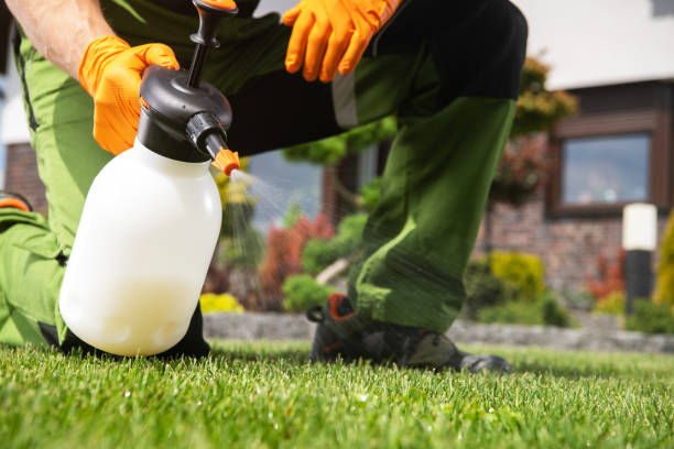 Best Flea Control Services  in Glenside, PA