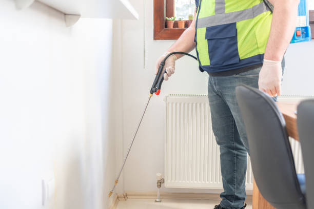 Best Termite Control Services  in Glenside, PA