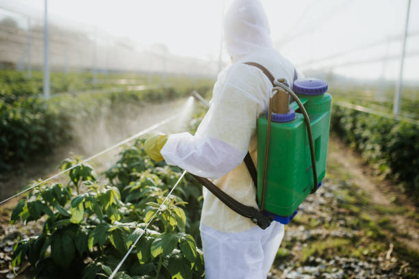 Best Pest Removal Services  in Glenside, PA